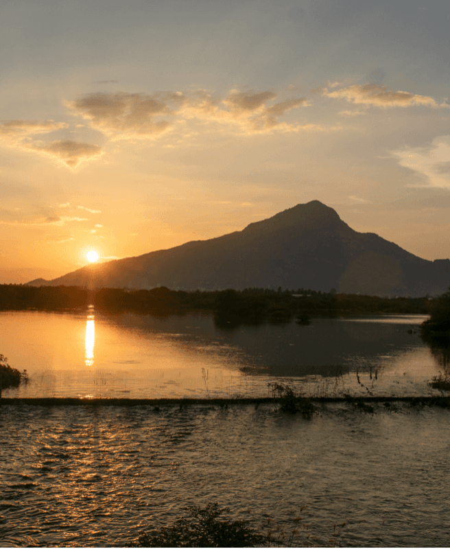 Pause. Reflect. Grow