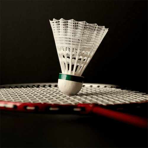 Badminton & Brunch